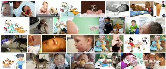 遛狗不牵绳狗害怕,遇到不戴牵引绳的狗怎么处理