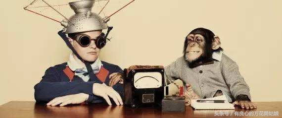 摸活鳄鱼影响人赌博意愿？科学告诉你答案