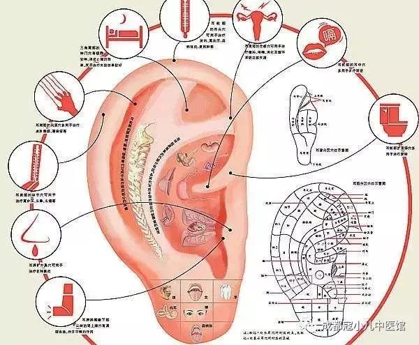 「原创」如果得了鼻炎，看中医竟然有这些意想不到的优势？