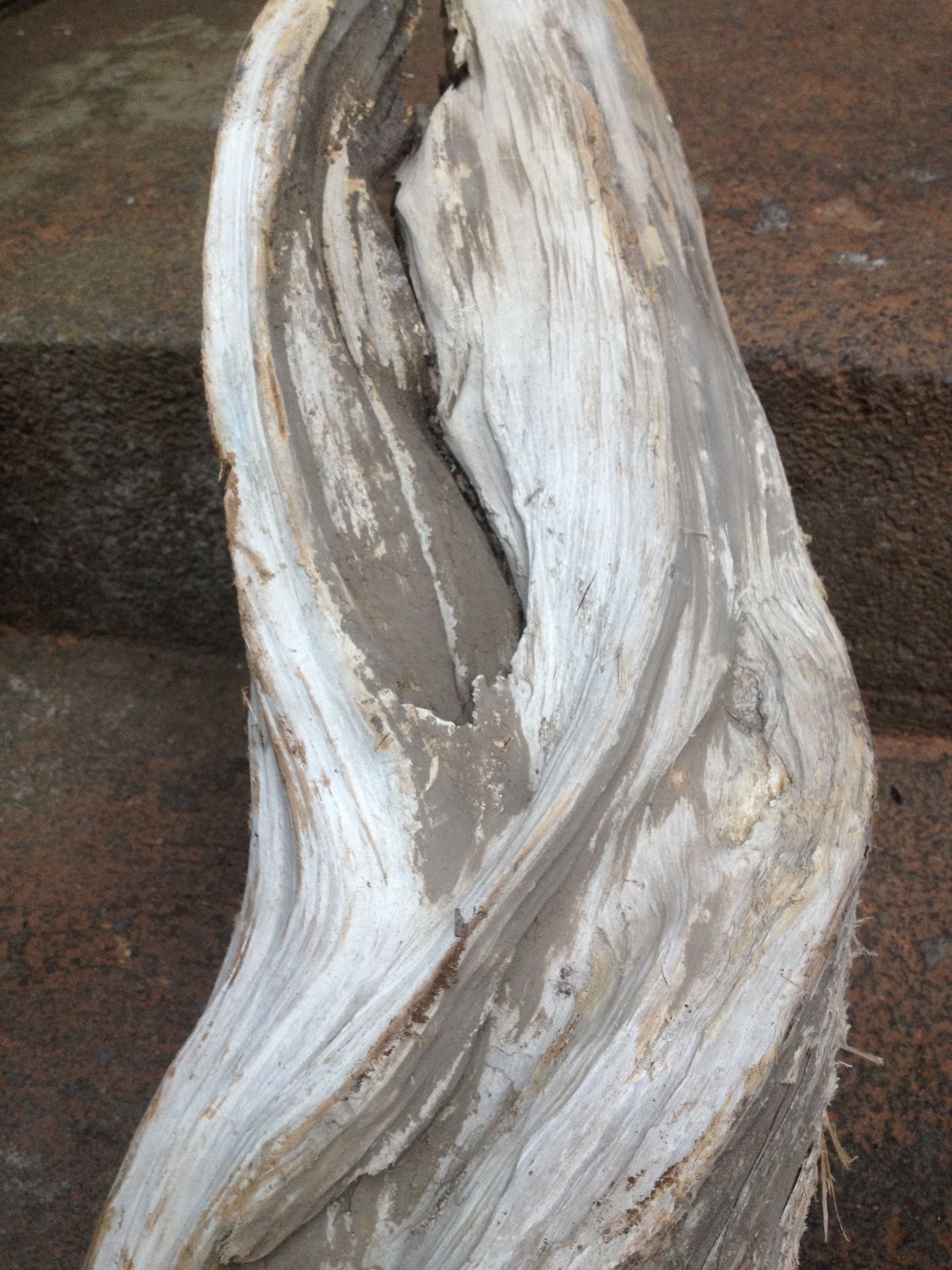 崖柏毛料去皮的正确打开方式,用纱布手磨崖柏毛料技巧