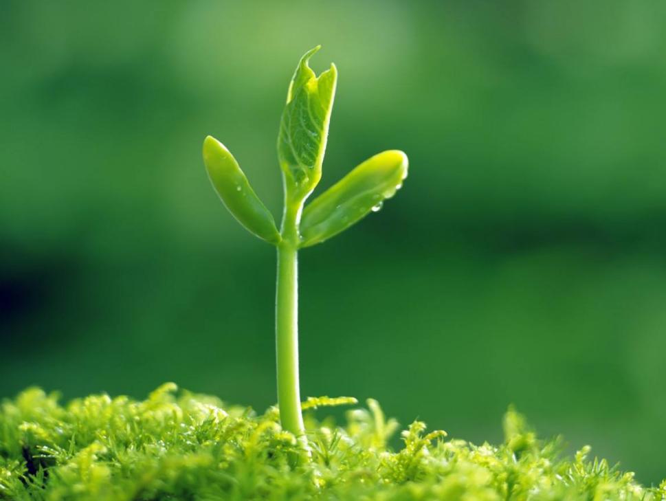 经常被小人欺负该怎么办,经常被人欺负的人适合干什么