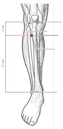 推拿治疗胃脘痛的推拿处方,胃脘痛的针灸处方及操作