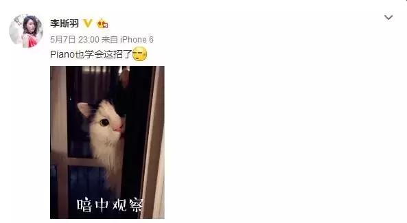 杨幂李易峰现身米兰街头,李易峰怎么穿杨幂的衣服