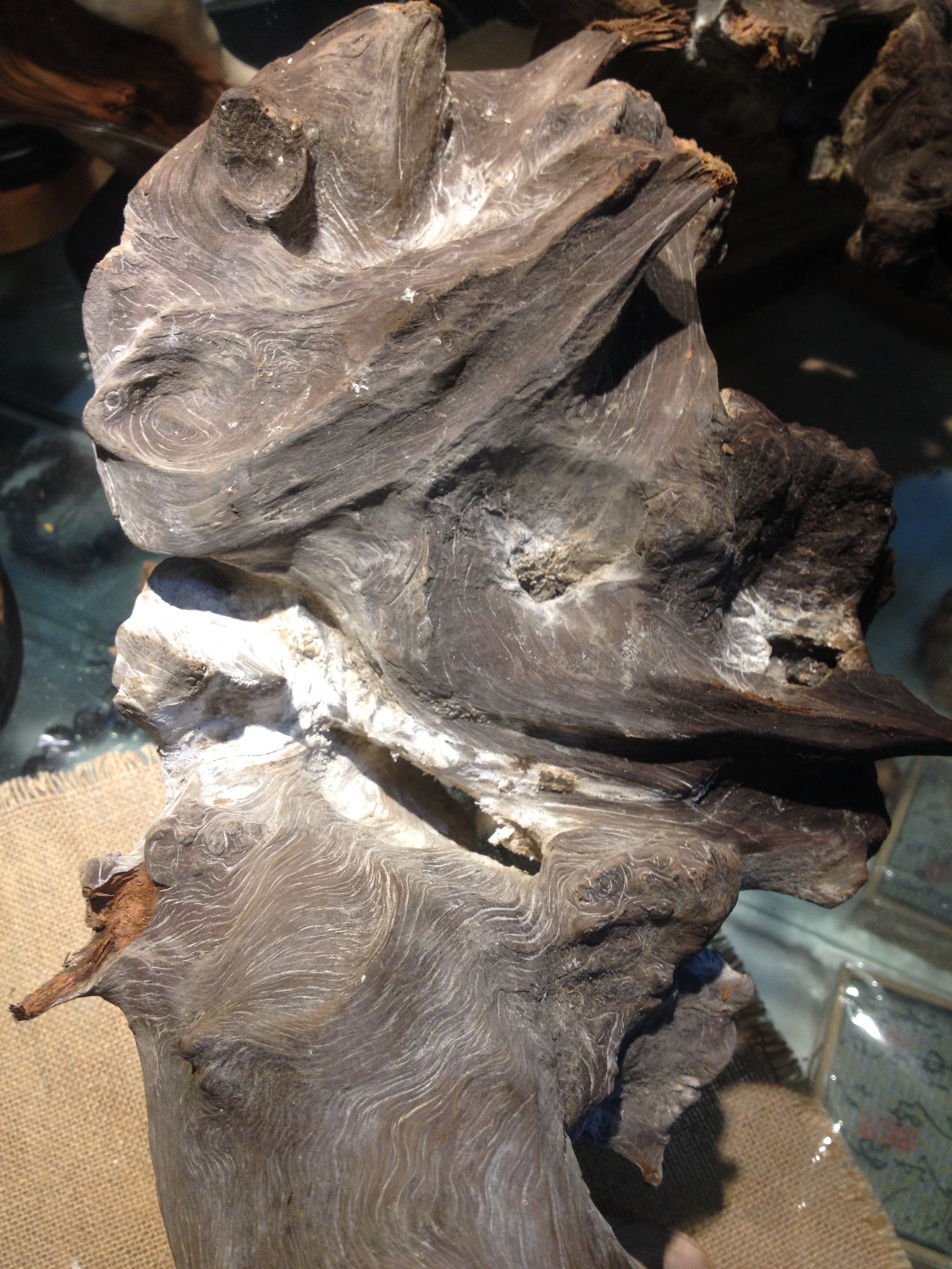 崖柏毛料去皮的正确打开方式,用纱布手磨崖柏毛料技巧