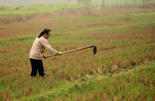 老婆老是跟我说我妈妈不好,老婆整天说我妈不好