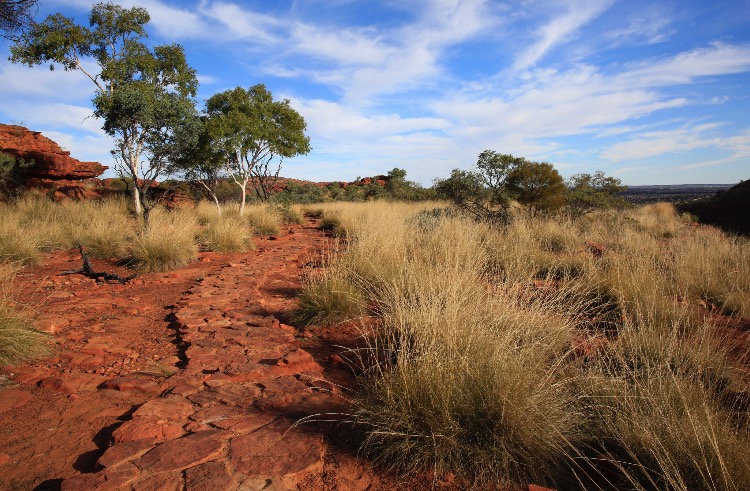 关于澳洲的一切,澳大利亚国王峡谷