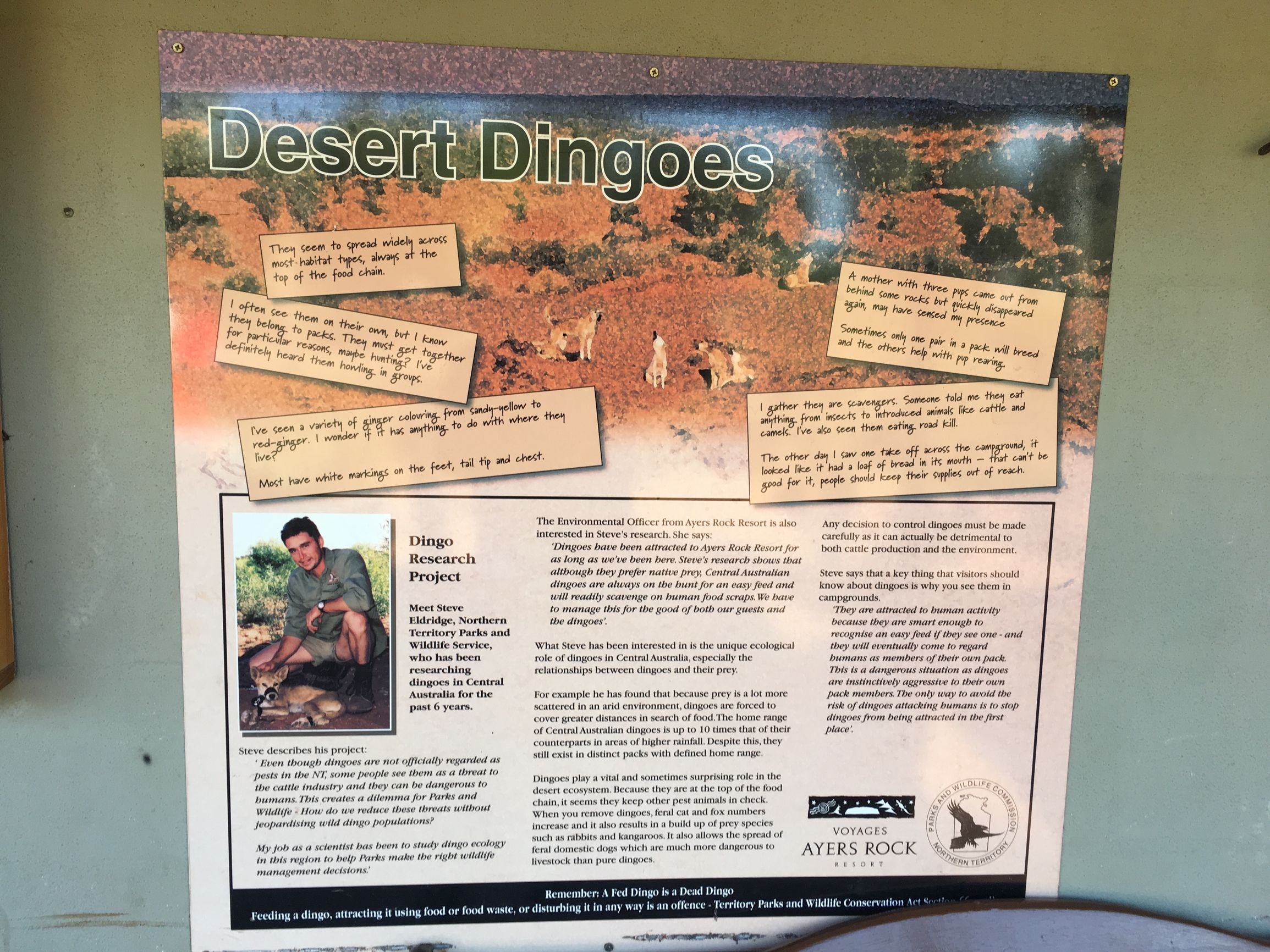 关于澳洲的一切,澳大利亚国王峡谷