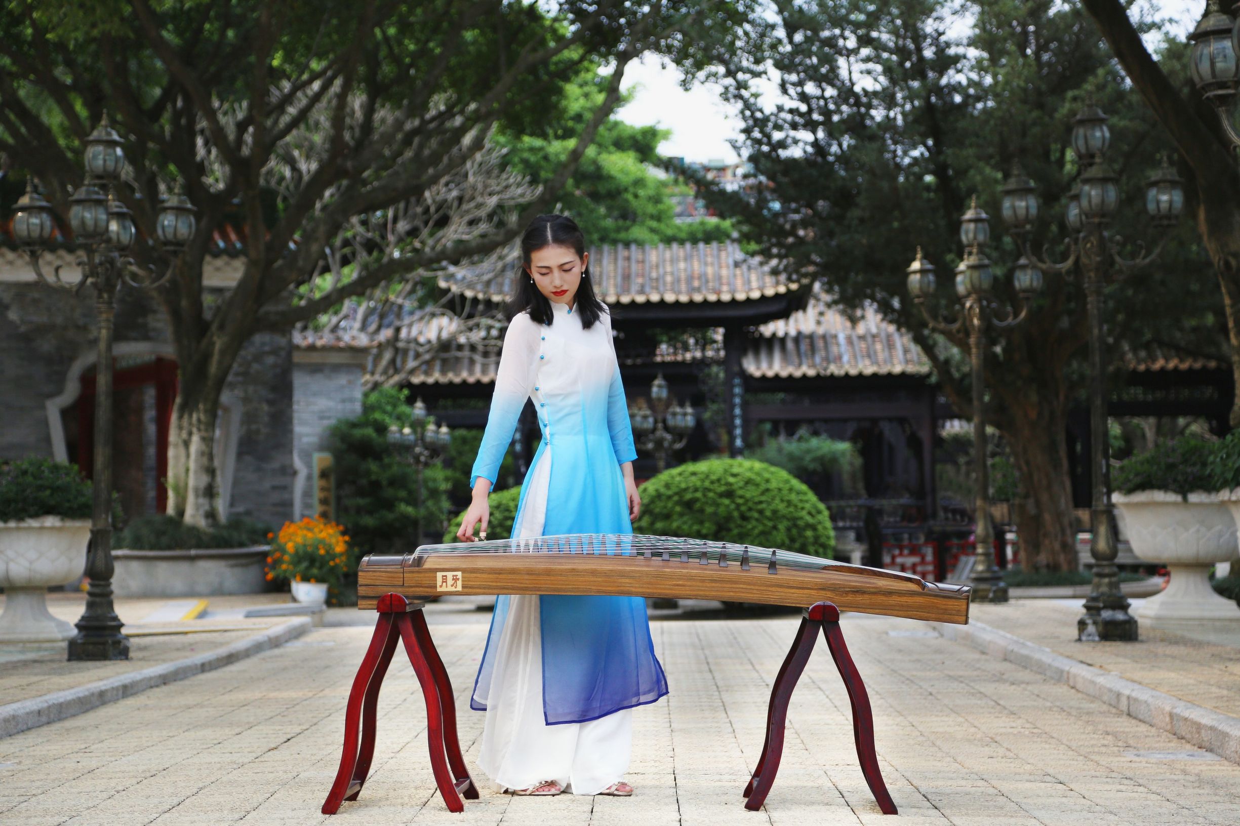 扬州古筝价格一览表,金凤古筝图片及价格