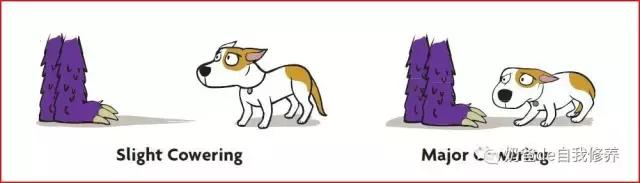 遛狗不牵绳狗害怕,遇到不戴牵引绳的狗怎么处理