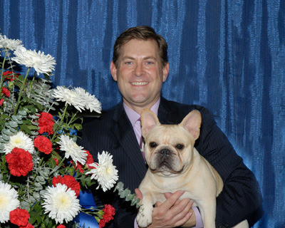 美国西敏寺犬展金毛,美国西敏寺博美犬展