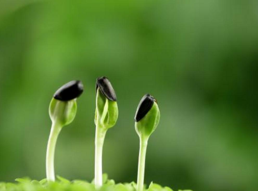 经常被小人欺负该怎么办,经常被人欺负的人适合干什么