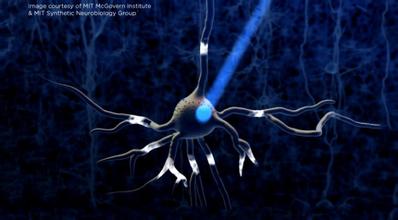 肿瘤和遗传学,光遗传学方法