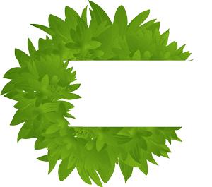 如何辨别洋水果真假,洋水果真假鉴定方法