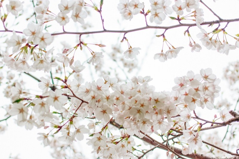 你不该错过歌曲,你不应错过的十大原创好文