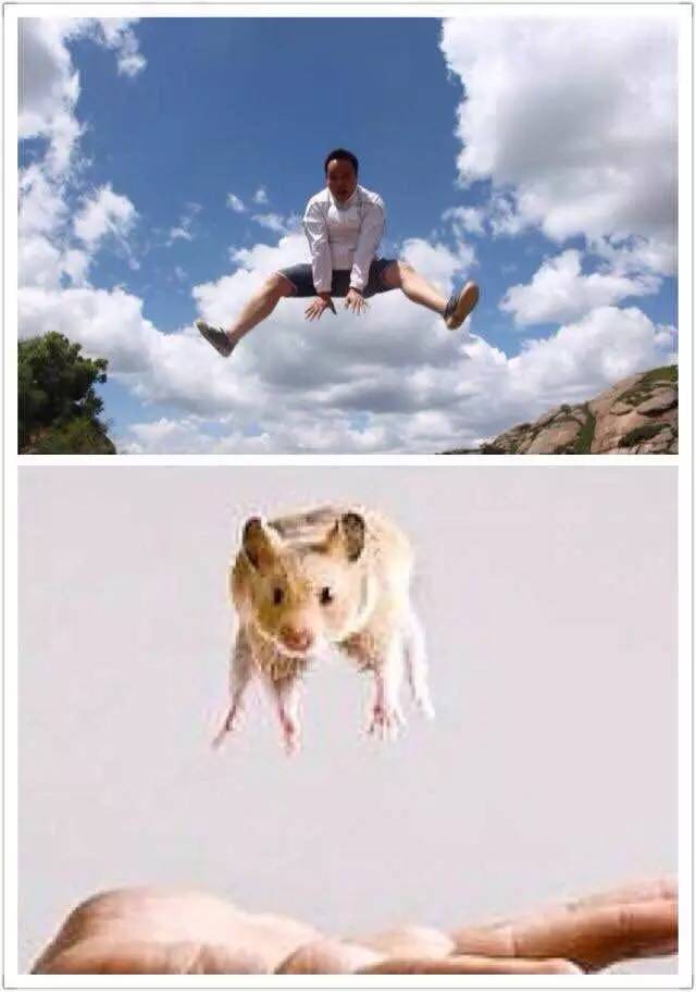 黑城堡164期.神秘的*麻大**雀——《冰与火之歌》总主教真实身份大猜想