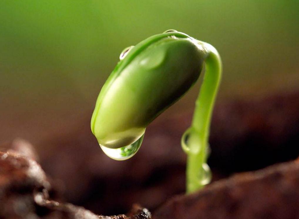 经常被小人欺负该怎么办,经常被人欺负的人适合干什么