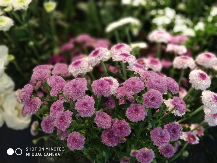 高颜值的拍照旗舰小米Note3拍照以及性能到底如何？