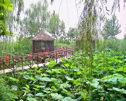 石家庄周末去哪玩推荐,石家庄初春周末游的绝佳去处