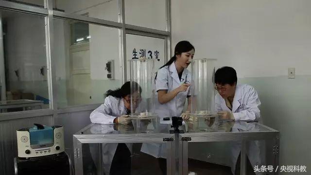 活了30年才知道防蚊妙招,科学防蚊