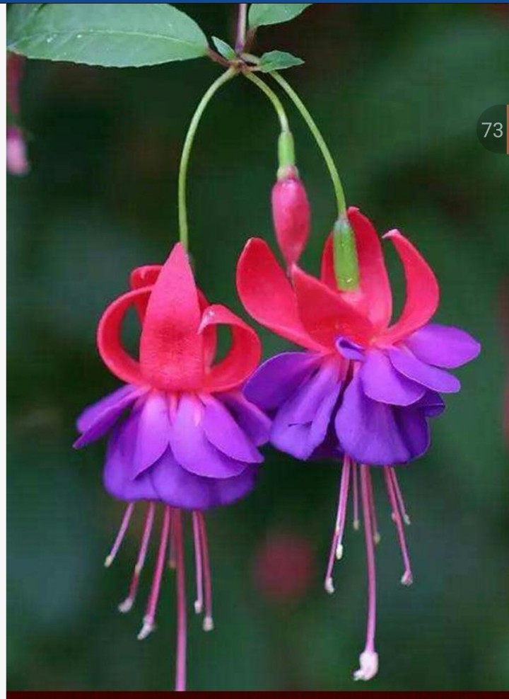 婚礼现场娘家人没有一个人去,结婚当天娘家要留一个人在家吗