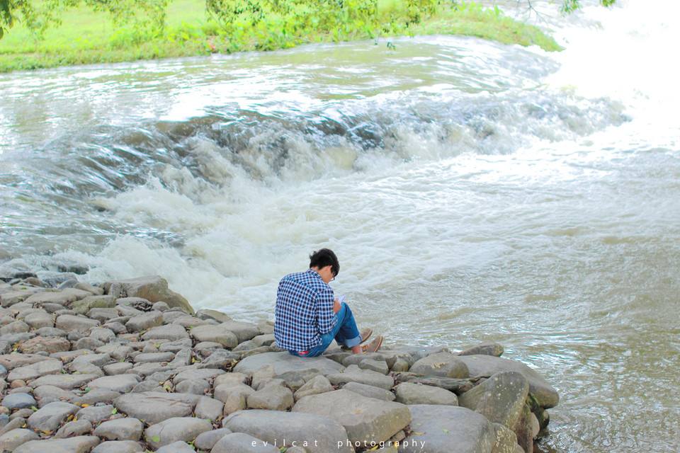 知我者谓我心忧下一句怎么接,高情商回复知我者谓我心忧