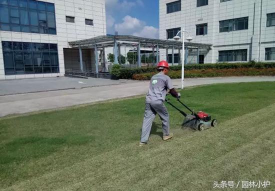 暖季型草坪如何延长绿期,暖季型草坪如何快速返青