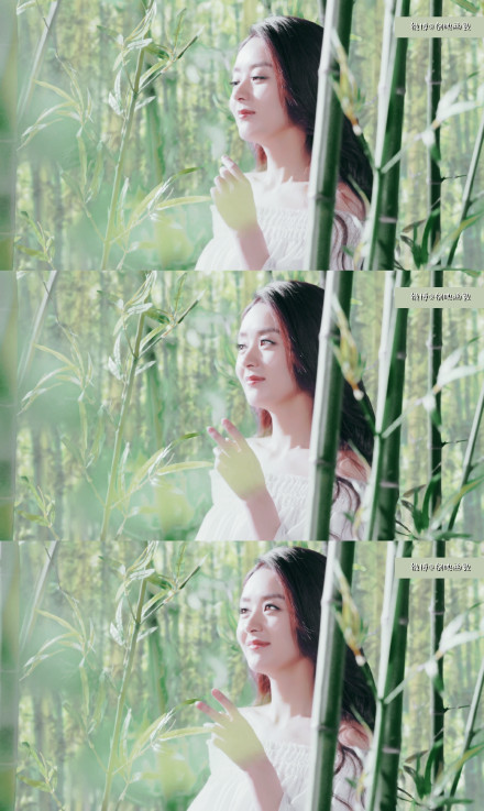 我的作死姑姑,我那个作死的姑姑