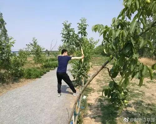 石家庄周末去哪玩推荐,石家庄初春周末游的绝佳去处