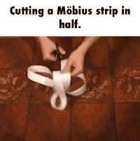 关于VAR模型的论文,vart