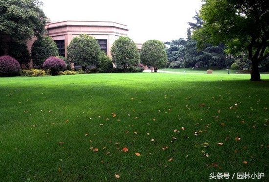 暖季型草坪如何延长绿期,暖季型草坪如何快速返青