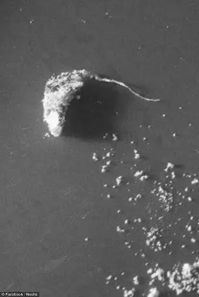 澳洲奶粉里的异物,哪些奶粉被爆出有异物