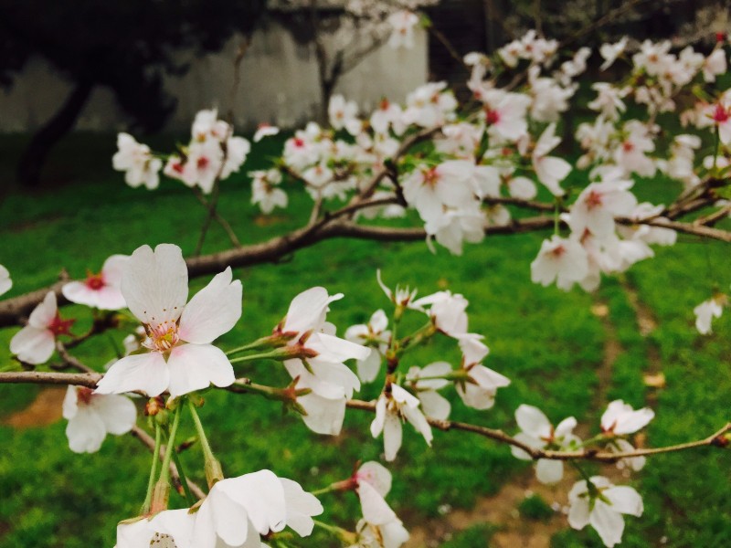 你不该错过歌曲,你不应错过的十大原创好文