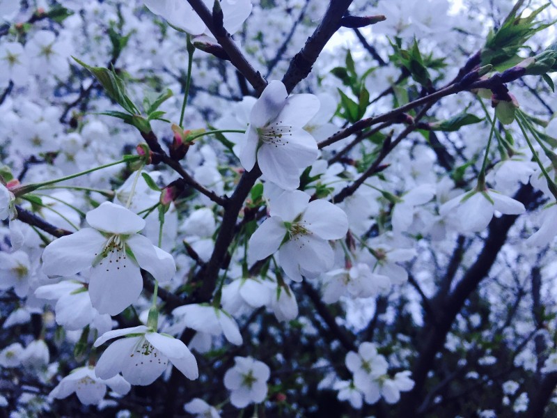 你不该错过歌曲,你不应错过的十大原创好文