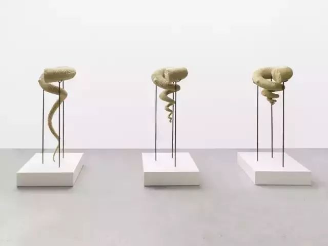 关于VAR模型的论文,vart