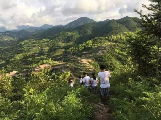 国庆加井岛旅游攻略,国庆五天四夜旅游攻略