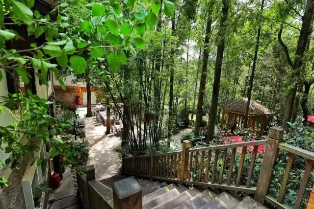 武夷山最值得住的酒店,武夷山哪个民宿舒服