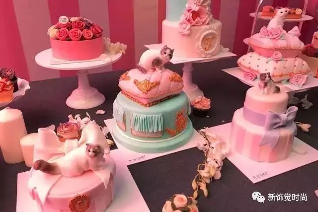 新饰觉时尚,新视觉怎么样