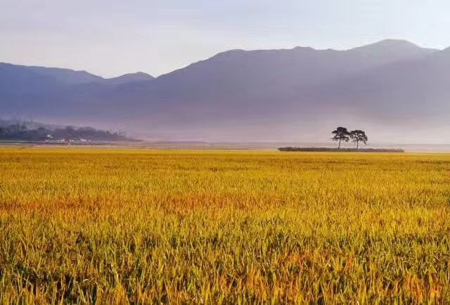 嫁给一个没本事的男人真是憋屈啊,嫁给孤独的男人怎么挽回