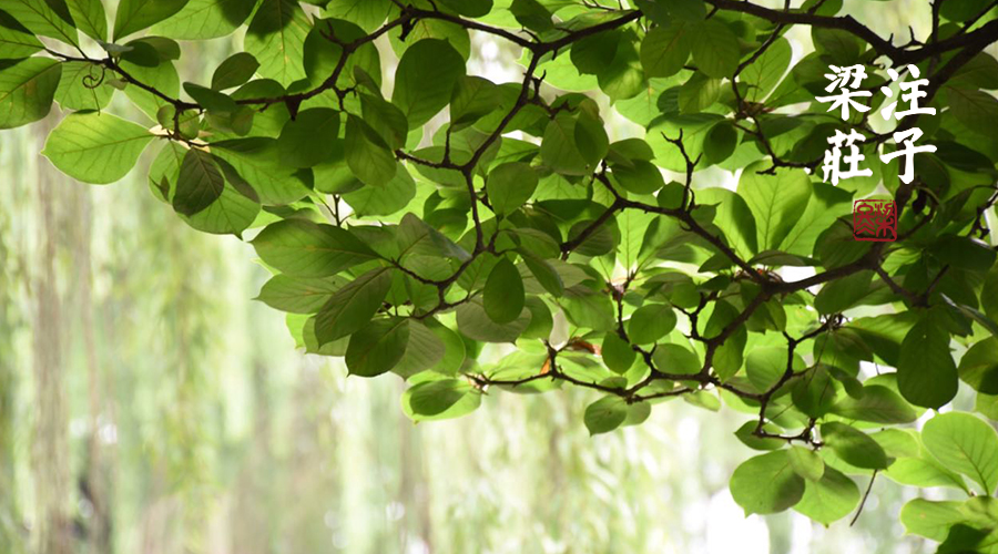 梁冬对自己好一点,梁冬谈高级的友谊