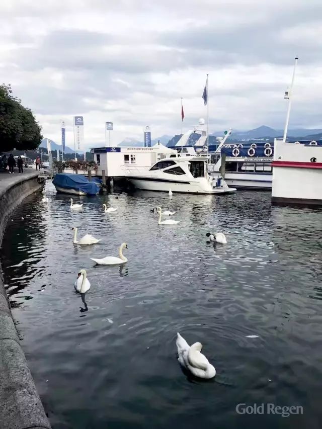 瑞士卢塞恩最美的城市,瑞士卢塞恩湖畔