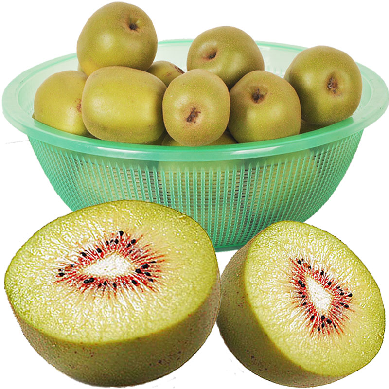 又青又硬的猕猴桃要放多久才能软,猕猴桃催熟一半硬一半烂怎么回事