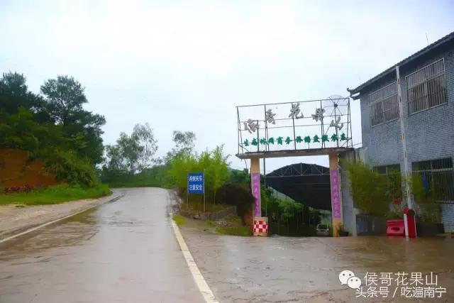 南宁十大最美农家乐推荐,南宁周边烧烤野炊前十排行