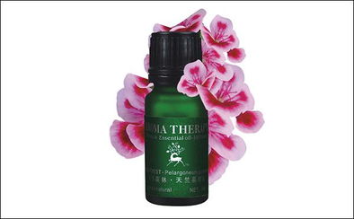 天竺葵精油加薰衣草精油的功效,乳香精油天竺葵精油对妇科的功效