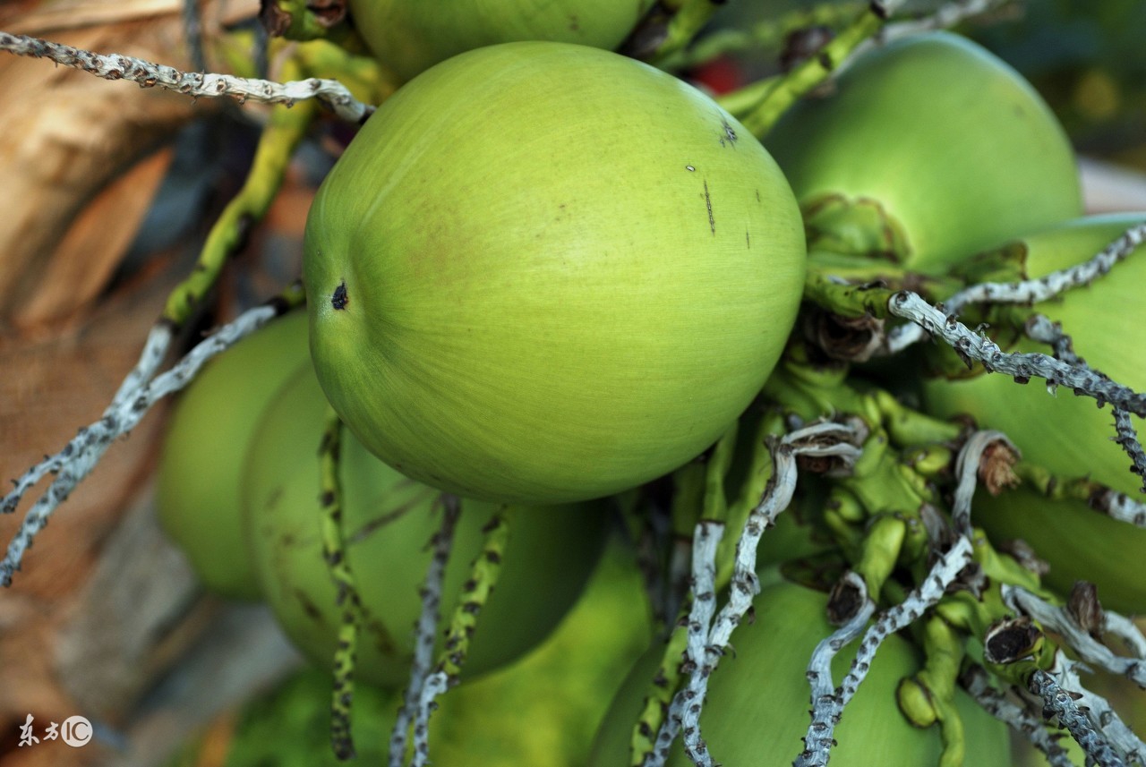 野外饮用水知识科普,户外小知识小妙招全集