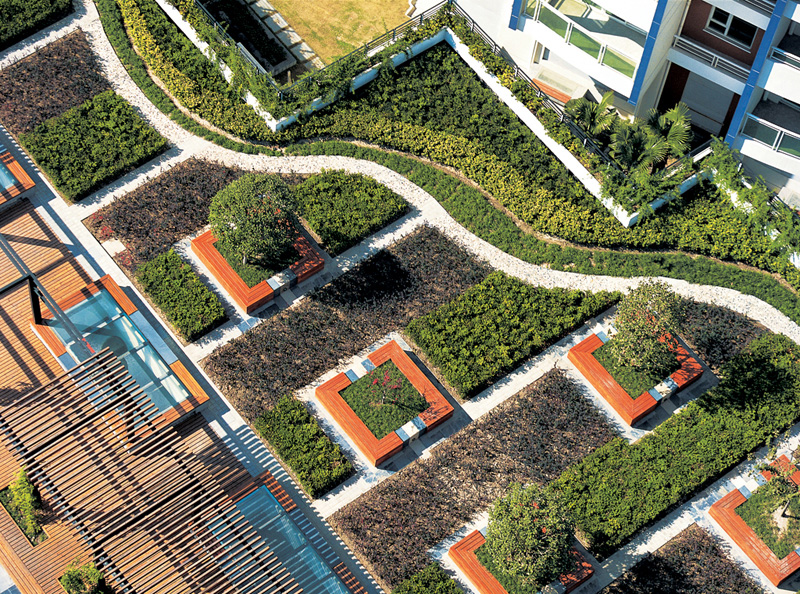 做作品没灵感,园林快题设计图手绘