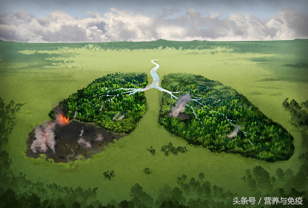 肺癌连续感冒,反复咳嗽肺癌晚期