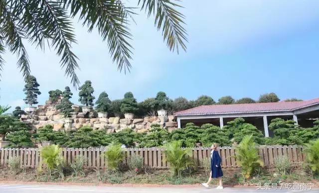 南宁十大最美农家乐推荐,南宁周边烧烤野炊前十排行