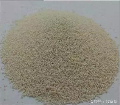 玉米抗倒伏用什么肥料最好,玉米倒伏能否施肥