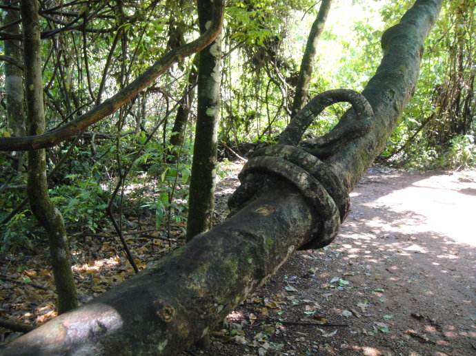 野外饮用水知识科普,户外小知识小妙招全集