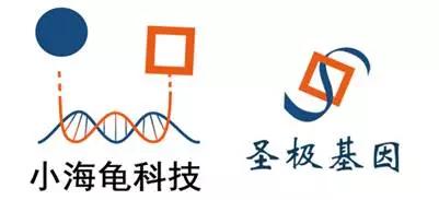 鏁板瓧pcr浜у搧,灏忔捣榫焢cr